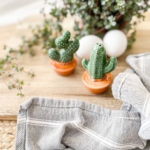 New✨ Salt & Pepper Shakers - cactus
